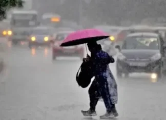 நெல்லை, குமரியில் அடுத்த 2 நாட்களுக்கு மழை.. வானிலை எச்சரிக்கை