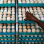 குமரி மாவட்டத்தில் முட்டை விலை அதிரடி உயர்வு