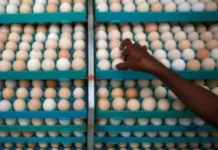 குமரி மாவட்டத்தில் முட்டை விலை அதிரடி உயர்வு