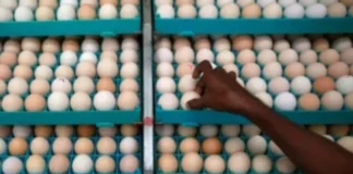 குமரி மாவட்டத்தில் முட்டை விலை அதிரடி உயர்வு