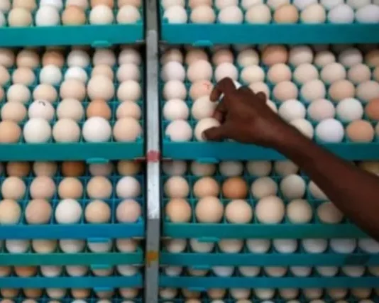 குமரி மாவட்டத்தில் முட்டை விலை அதிரடி உயர்வு