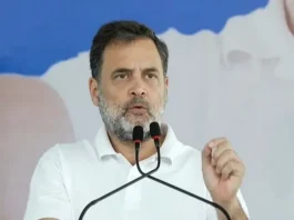 நெல்லை, குமரியில் ராகுல் காந்தி பிரச்சாரம்