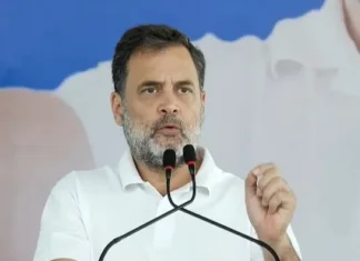 நெல்லை, குமரியில் ராகுல் காந்தி பிரச்சாரம்