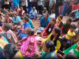 குமரியில்: காட்டு யானை அட்டகாசம்; கிராம மக்கள் போராட்டம்