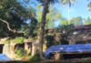 குமரி: விஷ ஜந்துக்களின் கூடாரமாமான போலீஸ் குடியிருப்பு