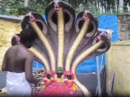 கேசவபுரம்: ஆனபூந்திக்குளம் கோவில் பவுர்ணமி பூஜை