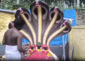 கேசவபுரம்: ஆனபூந்திக்குளம் கோவில் பவுர்ணமி பூஜை