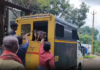 குமரியில்: தெரு நாய்களை பிடித்த பேருராட்சி பணியாளர்கள்