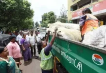 நாகர்கோவில்: குப்பை லாரிகளை மாநகராட்சி மேயர் ஆய்வு