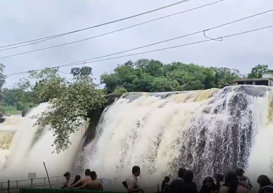 திற்பரப்பு அருவியில் சுற்றுலா பயணிகள் குளிக்க தடை