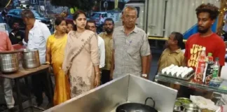 நாகர்கோவில் பார்வதிபுரம் பகுதியில் ஆணையர் ஆய்வு