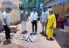 மீன் சந்தைகளில் அதிகாரிகள் திடீர் ஆய்வு