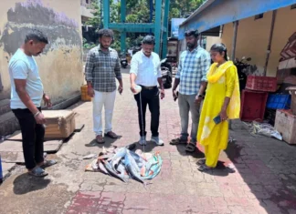 மீன் சந்தைகளில் அதிகாரிகள் திடீர் ஆய்வு
