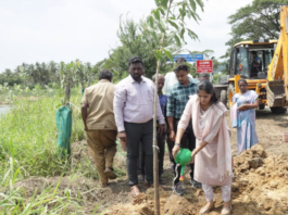 நாகர்கோவில் மாநகரில் பசுமையை அதிகரிக்க Pink Trumpet மரக்கன்றுகள் நடும் பணி தொடக்கம் நாகர்கோவில் சுங்கான்கடையில் Pink Trumpet மரக்கன்றுகள் நடும் நிகழ்ச்சி