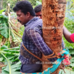 ரூ.40 லட்சம் நிலத் தகராறு: வழக்கறிஞரை மரத்தில் கட்டி மிரட்டியதாக புகார் – அஞ்சுகிராமத்தில் பலர் கைது Writing அஞ்சுகிராமத்தில் 10 சென்ட் நிலம் விற்பனை தொடர்பான தகராறு குறித்து வழக்குப்பதிவு செய்து கைது செய்த போலீசார்