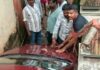 குமரி: Google Map ஐ நம்பி குறுகலான பாதையில் சிக்கிய கார்நம்பி கன்னியாகுமரி மாவட்டம் மேல்புறம் செம்மங்கலை பகுதியில் இரு சுவர்களுக்கு இடையில் சிக்கி சேதமடைந்த கார்.