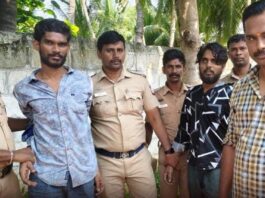 தேனி சிறையிலிருந்து தப்பிய மேலும் 2 கைதிகள் கைது: இதுவரை 15 பேர் பிடிபட்டனர்; மேலும் 2 பேருக்கு போலீசார் வலைவீச்சு!