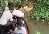 குமரி மாவட்டம் அருமனை அருகே, ரேஷன் அரிசி கடத்த முயன்றதாக கூறப்படும் கார் சானலில் கவிழ்ந்து விபத்து! அருமனை அருகே ரேஷன் அரிசி கடத்த முயன்ற கார் சாலையோர சானலில் கவிழ்ந்து விபத்து