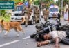 நாகர்கோவில் பகுதியில் பைக்கின் குறுக்கே பாய்ந்த தெரு நாய் அநியாயமாக போன தொழிலாளியின் உயிர் நாகர்கோவில் அருகே தெரு நாய் குறுக்கே வந்ததால் பைக்கில் இருந்து தவறி விழுந்து உயிரிழந்த தொழிலாளி முருகேசன்