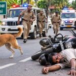 நாகர்கோவில் அருகே தெரு நாய் குறுக்கே வந்ததால் பைக்கில் இருந்து தவறி விழுந்து உயிரிழந்த தொழிலாளி முருகேசன்