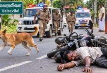 நாகர்கோவில் பகுதியில் பைக்கின் குறுக்கே பாய்ந்த தெரு நாய் அநியாயமாக போன தொழிலாளியின் உயிர் நாகர்கோவில் அருகே தெரு நாய் குறுக்கே வந்ததால் பைக்கில் இருந்து தவறி விழுந்து உயிரிழந்த தொழிலாளி முருகேசன்