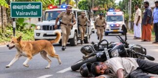 நாகர்கோவில் பகுதியில் பைக்கின் குறுக்கே பாய்ந்த தெரு நாய் அநியாயமாக போன தொழிலாளியின் உயிர் நாகர்கோவில் அருகே தெரு நாய் குறுக்கே வந்ததால் பைக்கில் இருந்து தவறி விழுந்து உயிரிழந்த தொழிலாளி முருகேசன்