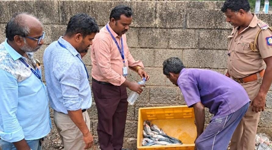 குமரி செய்திகள் – மீன் சந்தைகளில் திடீர் சோதனை நாகர்கோவில் இருளப்பபுரம் மற்றும் சரலூர் மீன் சந்தைகளில் உணவு பாதுகாப்புத்துறை, மீன்வளத்துறை மற்றும் கோட்டார் போலீசார் இணைந்து நடத்திய திடீர் சோதனை