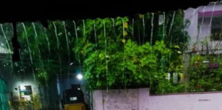 நாகர்கோவிலில் கனமழை: தெருக்களில் பெருக்கெடுத்த வெள்ளம் nagercoil_rain